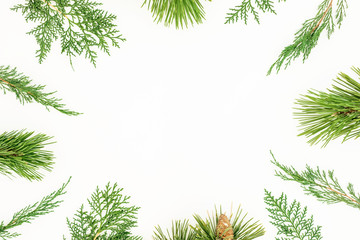 Christmas winter frame of winter tree branches on white background. Festive New Year background. Flat lay, top view