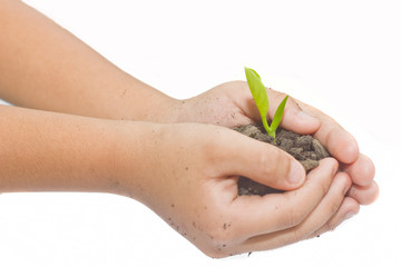 Child hands holding a plant growing out of the ground on white background.