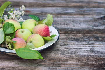 Organic apples on wooden table