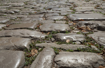 Old cobblestone path