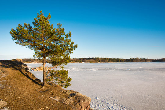 View over a fronzen quarry lake on a beautiful cold and sunny winter day.