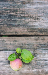 Organic apples on wooden table