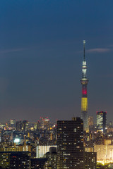 Tokyo skytree tower in Janpan in night light with brigde and building