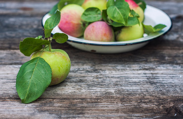 Organic apples on wooden table