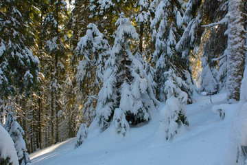 Frosty winter day in the mountains