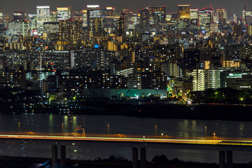 Naklejka premium Tokyo city and skyline with night light