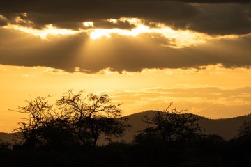 Obraz na płótnie Canvas Sonnenuntergang im Amboseli Nationalpark in Afrika