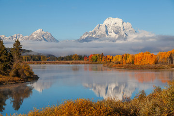 Scenic Autumn Reflection in the Tetons