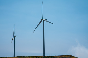 Wind farm. Copy space.