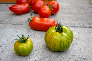 Group of ripened tomatoes in two boxes, red and green fruits after harvest, ready to eat