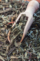 Spoon of dried green tea leaves on wooden background.