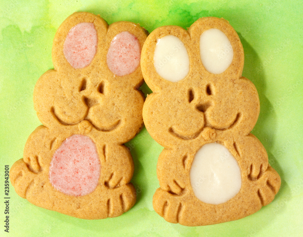 Wall mural BUNNY COOKIES