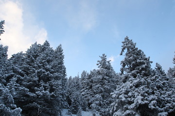 ciel enneigé