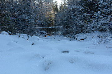 Mountain river in winter
