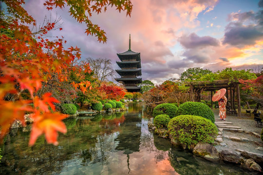 Fototapeta Toji temple and wood pagoda in autumn Kyoto, Japan