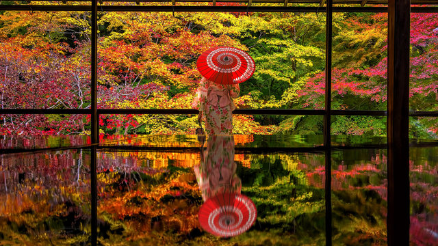 Fototapeta Colorful autumn Japanese garden of Rurikoin temple in Kyoto