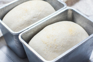 Homemade Bread in the Baking Dish