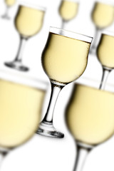 GLASSES OF WHITE WINE