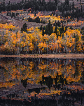 Colorful trees being reflected on the water during autumn