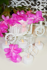 Beautiful winter Decembrist flower on white scenery background. White Bicycle and candles, flashlights.