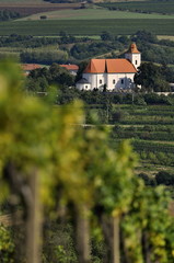 Fototapeta na wymiar look at a church and vineyards