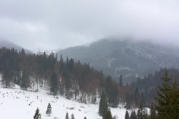 Wandaufkleber Wald im Nebel Nebliger Wintertag in den Bergen