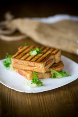 hot double sandwich with lettuce leaves and stuffed in a plate