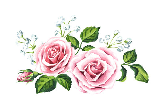 Pink rose and gypsophila composition. Watercolor hand drawn illustration,  isolated on white background