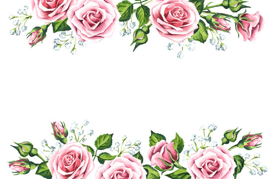 Pink rose flower and gypsophila background. Watercolor hand drawn illustration