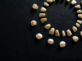 Plastic teeth on a dark background. Plastic dentures teeth.