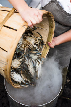 Chef dumping blue crabs into a steaming pot