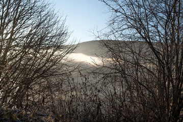 Looking through autumnal, bare branches with some dead, dried leaves, on atmospheric view of mist, fog and cloud with sunlight on a mountain top an early autumn morning with frost