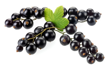 BLACKCURRANTS