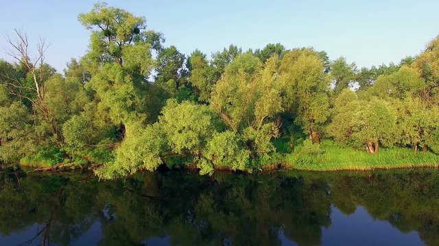 along the riverbank 4K aerial view, Drone flight along the riverbank moving near the trees, The trees on the bank of the river, 