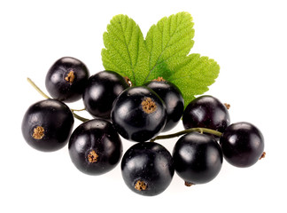 BLACKCURRANTS