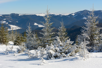 Winter sunny day in the mountains