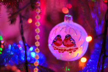 Christmas ball with two bullfinches on the Xmas tree with bokeh color lights background. Soft and selective focus. - 235955033