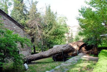 Bursa, Turkey, 01 May 2012: Muradiye complex © Kayihan