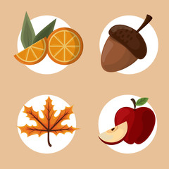 Set of thanksgiving food