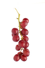Bunch of Red Grapes (Isolated)