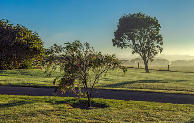 Fototapeta na wymiar Foggy dawn in Warrnambool, Australia. Beautiful morning light.