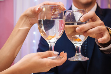 The bride and groom are holding glasses of champagne. Wedding ceremony. close-up