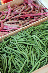 FRENCH BEANS