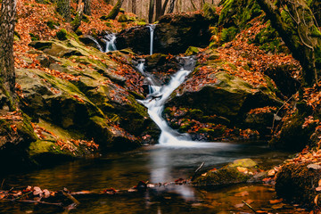waterfall in forest