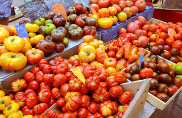 TOMATOES ON MARKET STALL