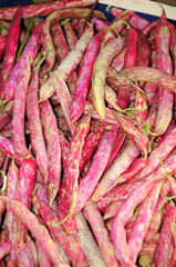 RED HARICOT BEANS