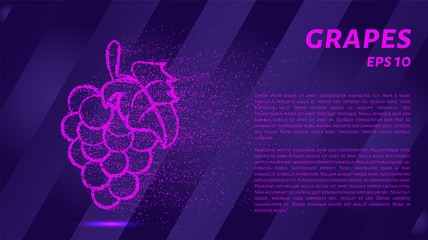Grapes of pink glowing dots. Grapes are made of particles. Vector illustration.