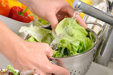 WASHING LETTUCE OR SALAD LEAVES