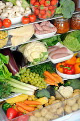 CONTENTS OF REFRIDGERATOR