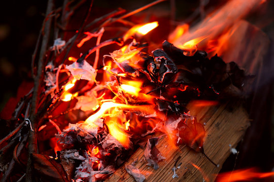 Abstract background image of a red campfire flame from dry twigs and firewood. Orange and red flames against a dark background. In the foreground are smoldering leaves. Cropped shot, close up, blurred